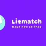 Memahami Arti IB di Litmatch: Panduan Lengkap dan Penjelasannya