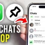 Panduan Praktis Pin Chat dan Pesan WhatsApp di Perangkat iPhone